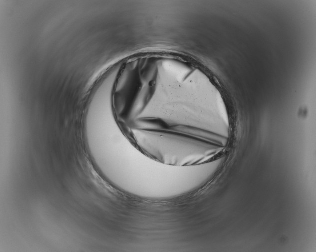 X0000113201356200910011246