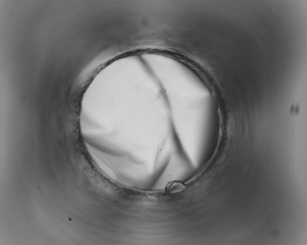 X0000113201359200910011246