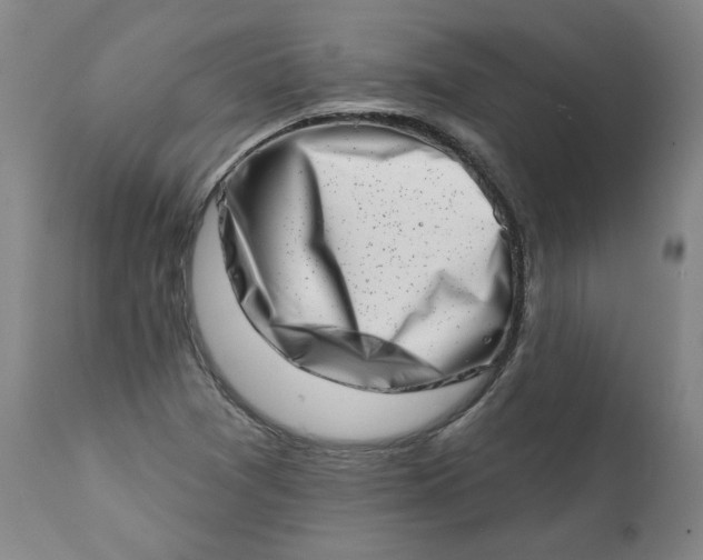 X0000113201361200910011246