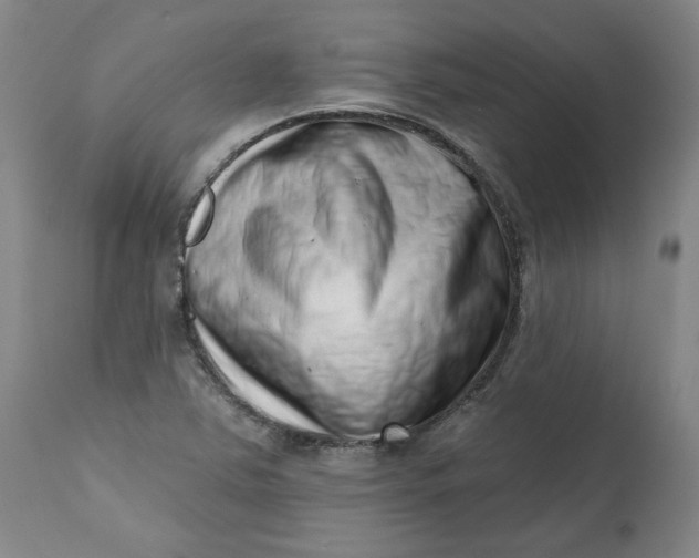 X0000113201363200910011246