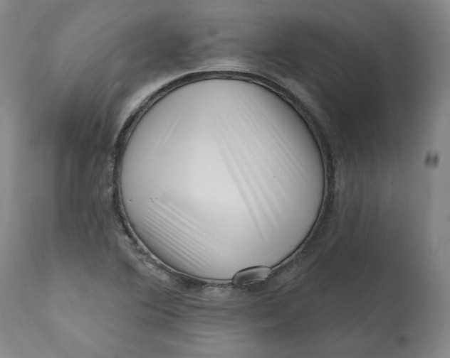 X0000113201364200910011246