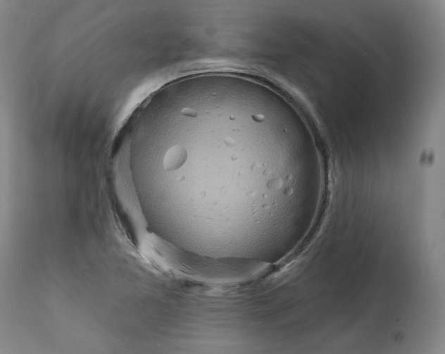 X0000113201365200910011246