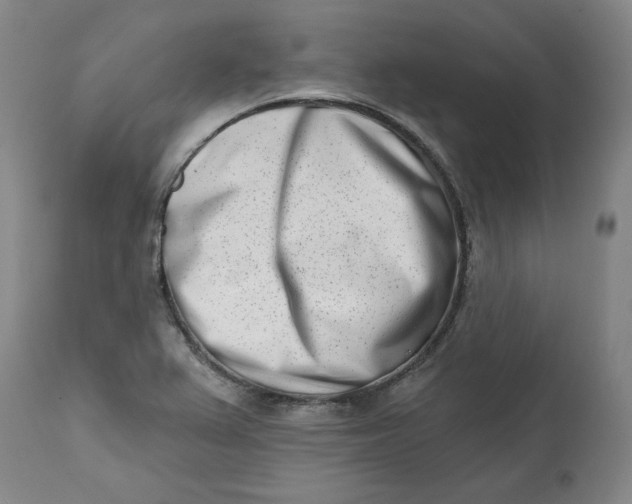 X0000113201367200910011246