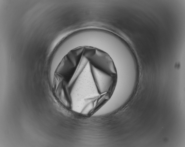 X0000113201368200910011246