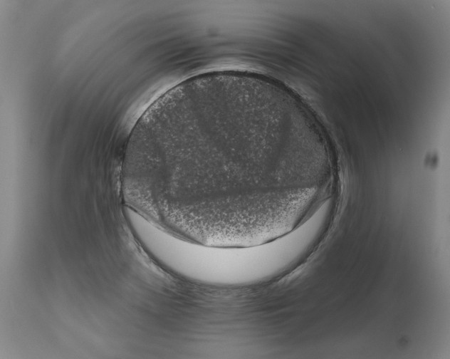 X0000113201369200910011246