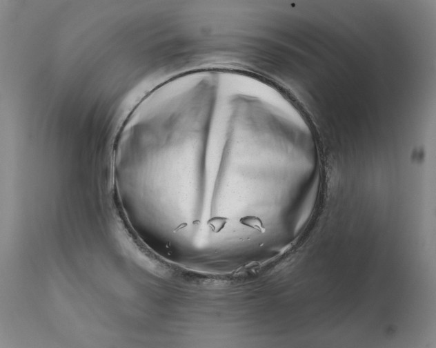 X0000113201371200910011246