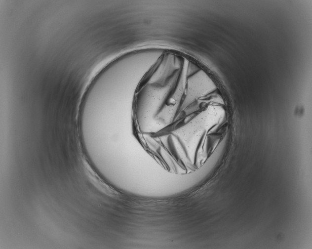 X0000113201372200910011246