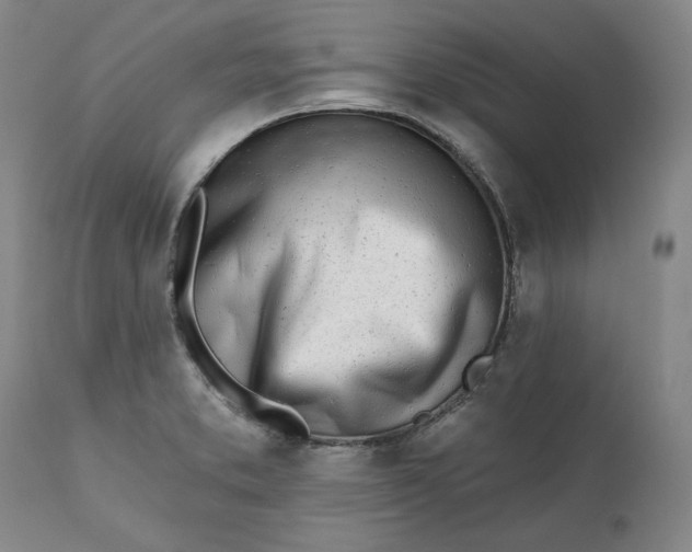 X0000113201373200910011246