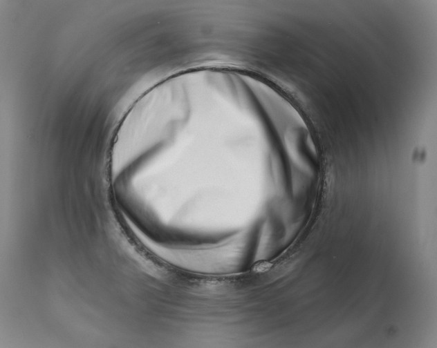 X0000113201375200910011246