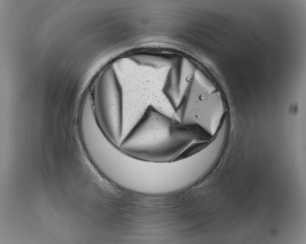 X0000113201376200910011246