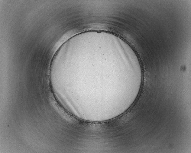 X0000113201378200910011246