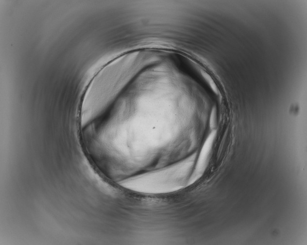 X0000113201379200910011246