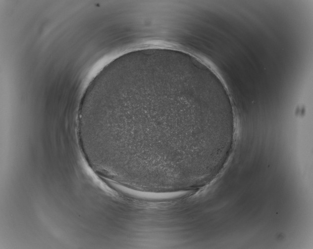 X0000113201381200910011246