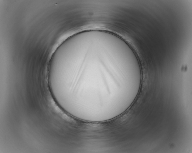 X0000113201382200910011246