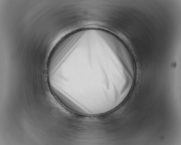 X0000113201384200910011246