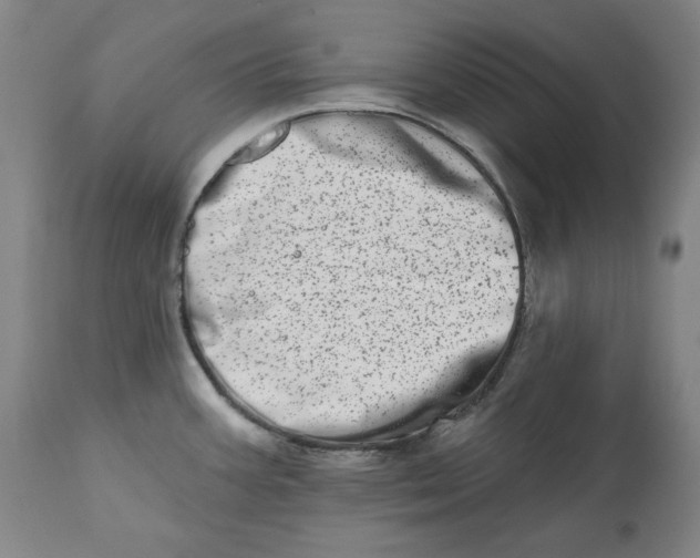 X0000113201387200910011246