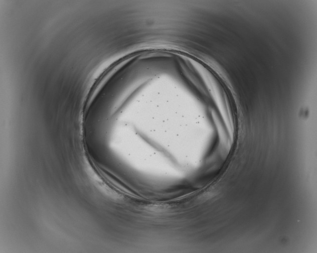 X0000113201388200910011246