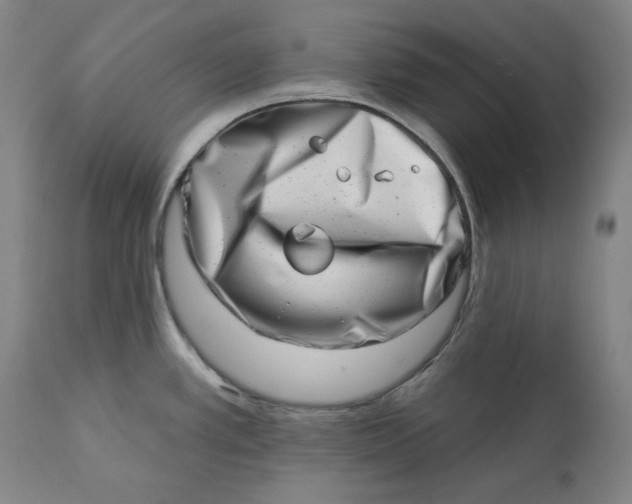 X0000113201389200910011246