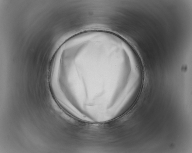 X0000113201390200910011246