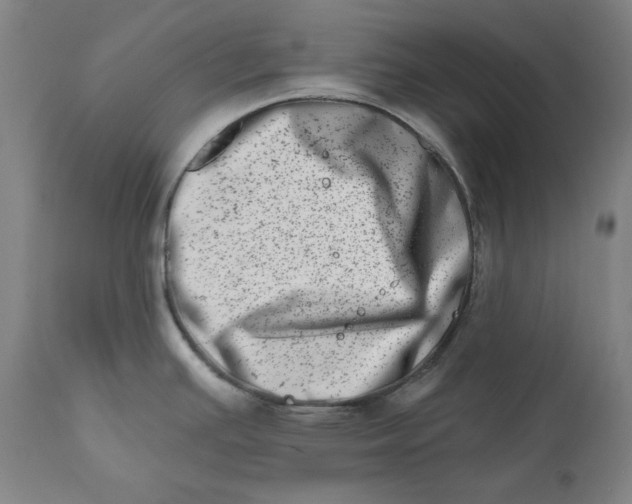 X0000113201391200910011246