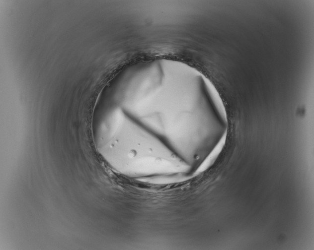 X0000113201393200910011245