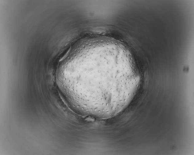 X0000113201394200910011245