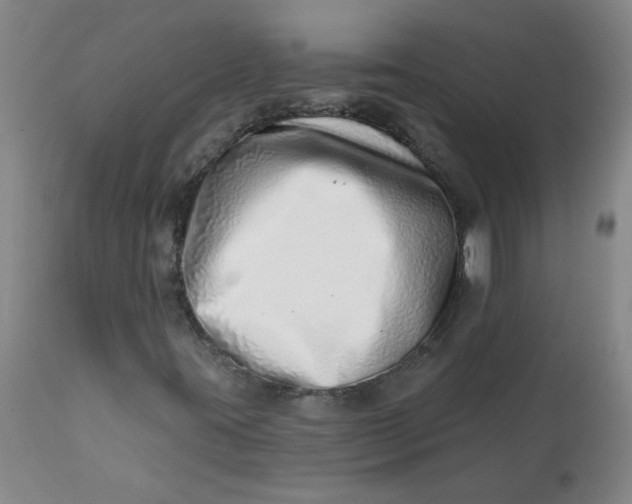 X0000113201395200910011245