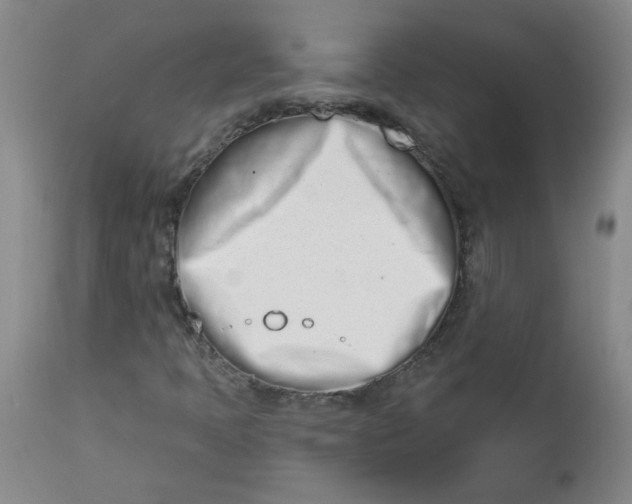 X0000113201397200910011245