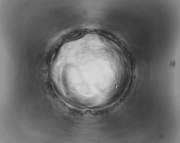 X0000113201398200910011245