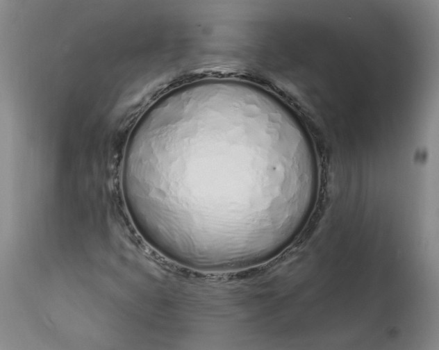 X0000113201399200910011245