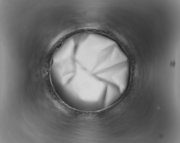 X0000113201400200910011245