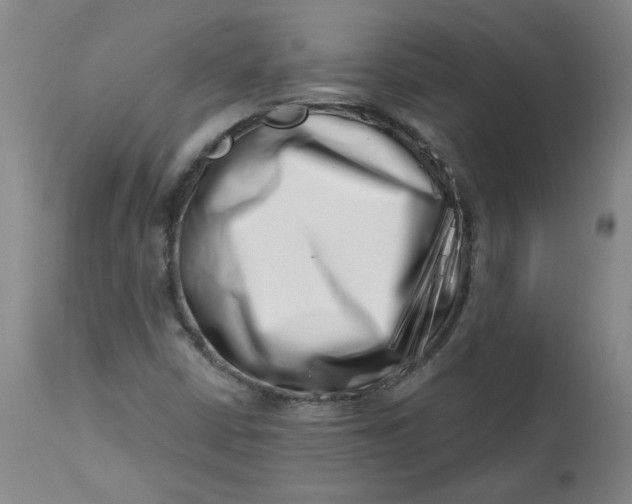 X0000113201402200910011245