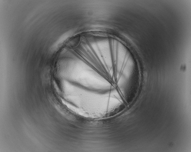 X0000113201403200910011245