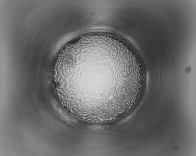 X0000113201405200910011245