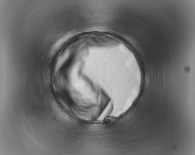 X0000113201406200910011245