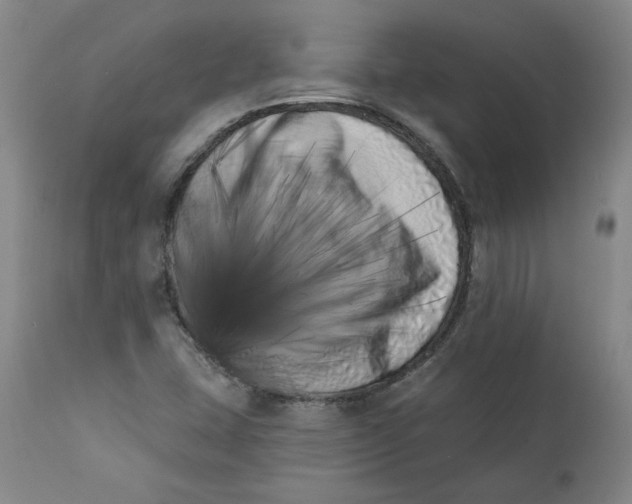 X0000113201407200910011245