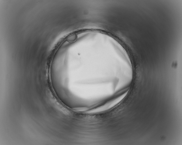 X0000113201408200910011245