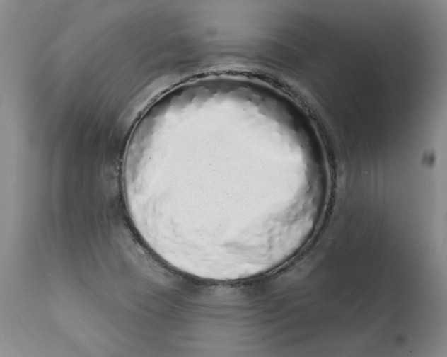 X0000113201409200910011245