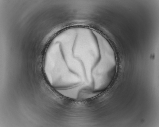 X0000113201411200910011245