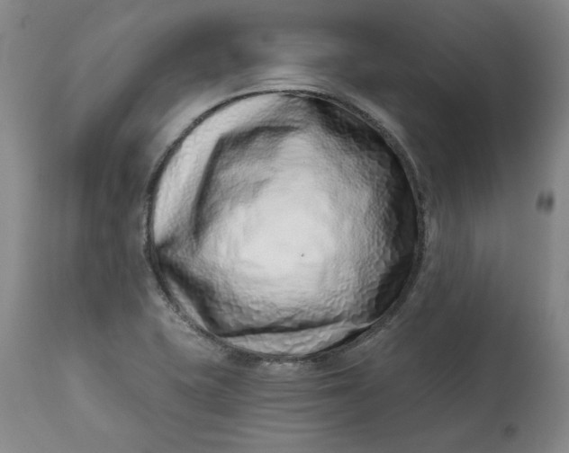 X0000113201415200910011245