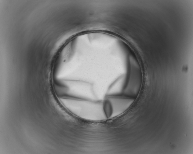 X0000113201416200910011245