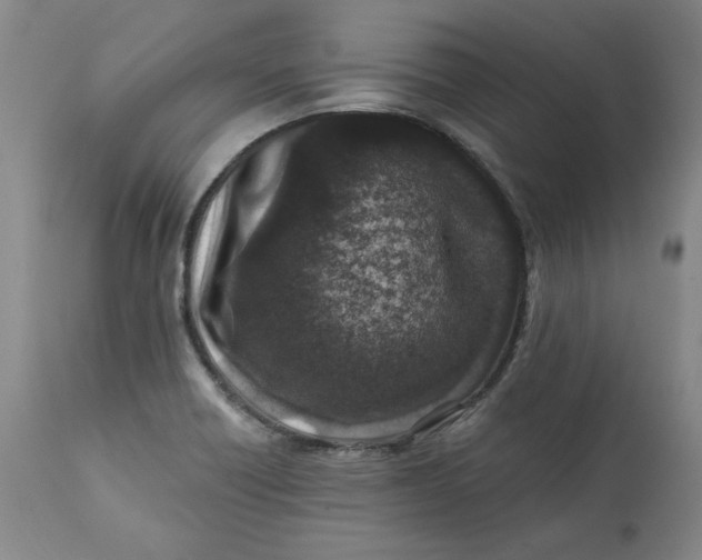 X0000113201418200910011245