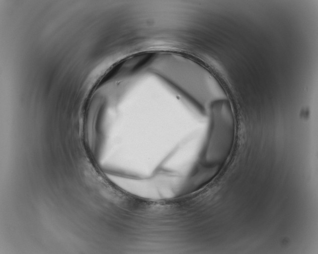 X0000113201419200910011245