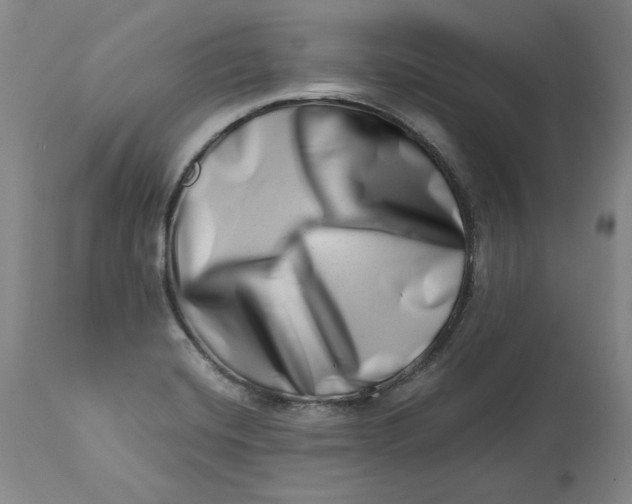 X0000113201420200910011245