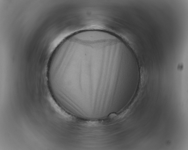 X0000113201422200910011245