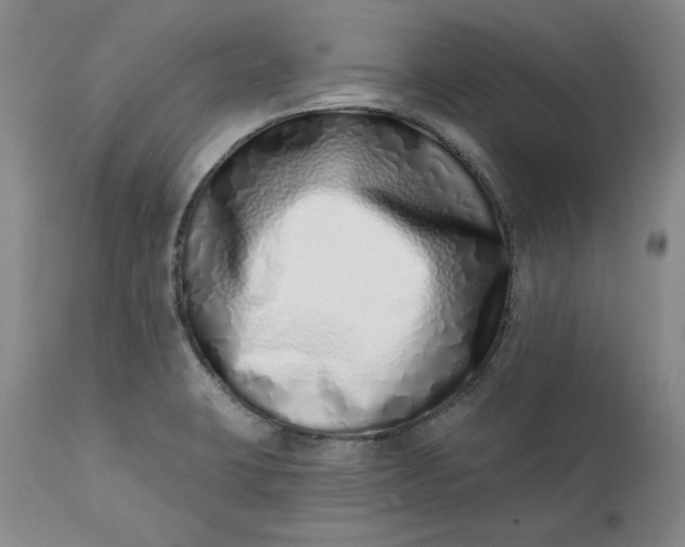 X0000113201423200910011245