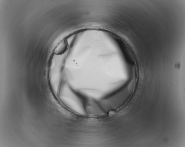 X0000113201424200910011245