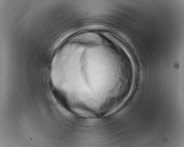 X0000113201425200910011245