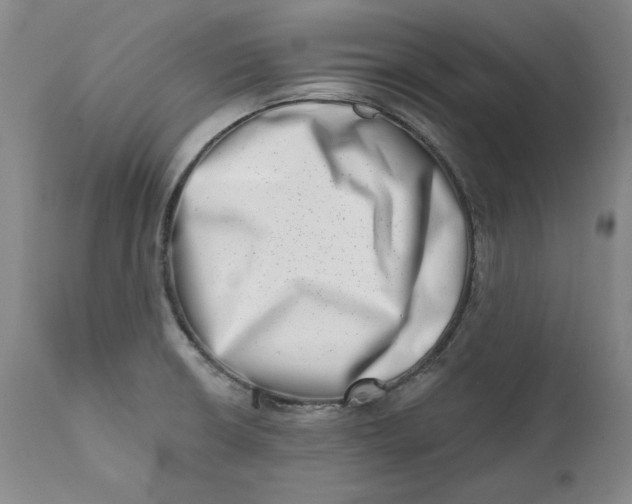 X0000113201426200910011245