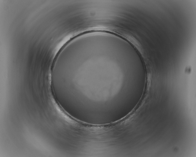 X0000113201428200910011245